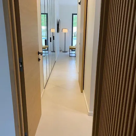 Elucci فيلة أركونغ